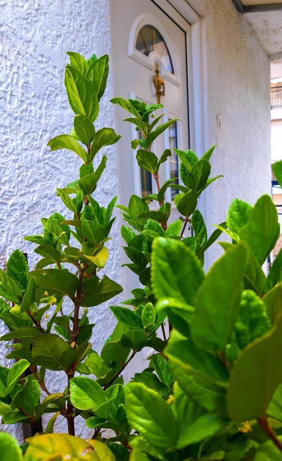 Kalliopi'S Apartment Athen Exterior foto